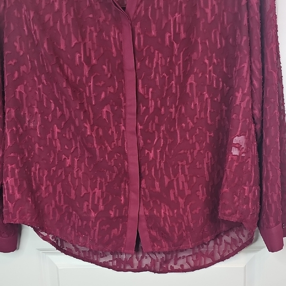 Rose & Olive Burgundy Textured Blouse - Picture 5 of 9